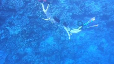 疯狂球球极限求生
